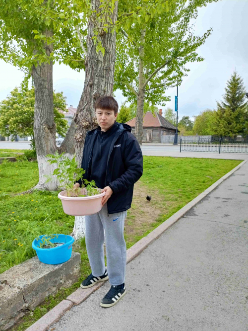 Изображение к статье 